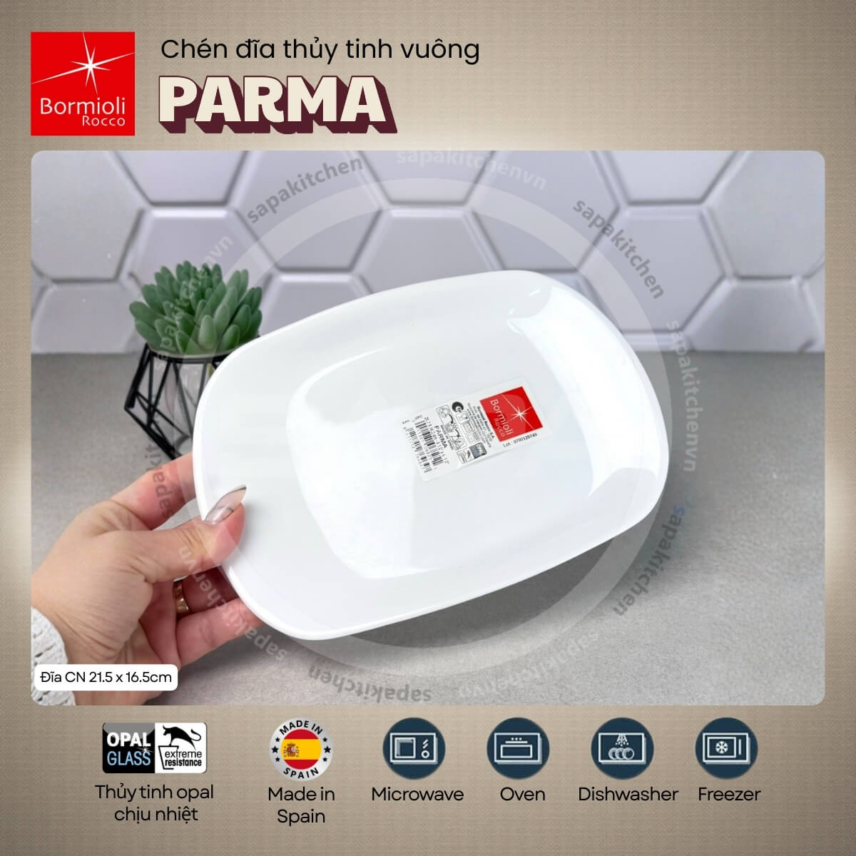 Đĩa thủy tinh chữ nhật nhỏ Parma 16.5 x 21.5 cm - Ảnh 2
